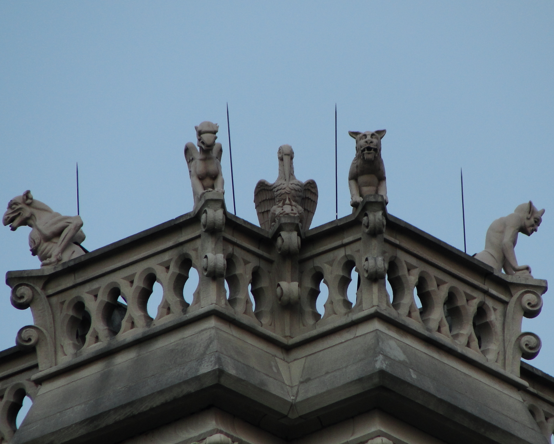 gargoyles atop The Cathedral Basilica of the Assumption in Covington, KY.  Twenty-six gargoyles to be exact, all carved in Italy